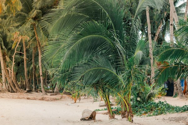 Les pass hôteliers : une opportunité avantageuse pour rentabiliser vos séjours ?