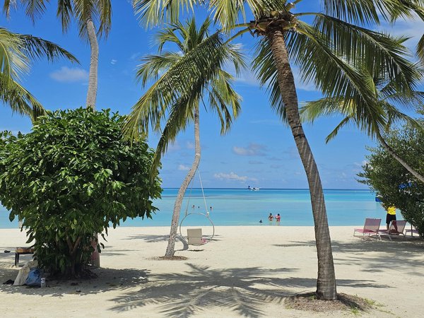 Découvrez le secret pour triompher lors de votre première croisière festive