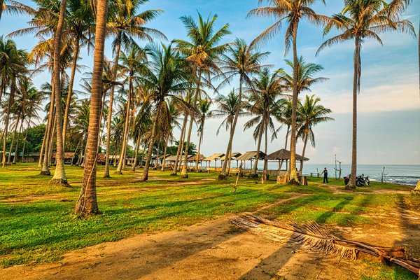 Guide ultime : maîtrisez l'art de la survie lors de votre expédition en camping montagnard